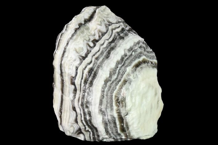 Free-Standing, Banded Zebra Calcite - Mexico #155768